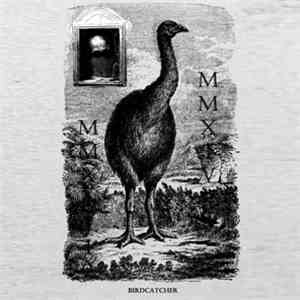 Birdcatcher - Prey