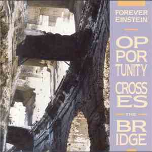 Forever Einstein - Opportunity Crosses The Bridge