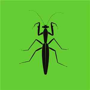 1NC1N - Praying Mantis