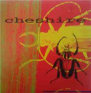 Cheshire  - Disregard The Hay In My Hand