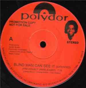 James Brown - Blind Man Can See It / Make It Good To Yourself / The Boss