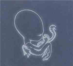 Sigur Rós - Ágætis Byrjun
