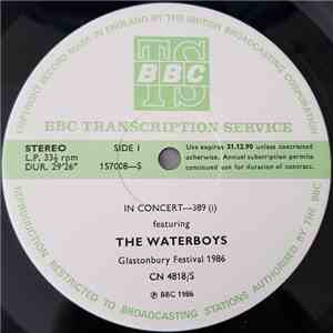 The Waterboys - In Concert-389