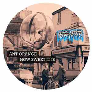 Ant Orange - How Sweet It Is
