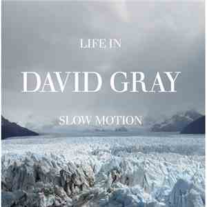 David Gray - Life In Slow Motion