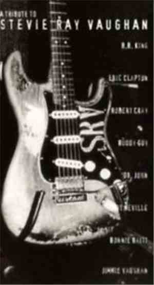 Various - A Tribute To Stevie Ray Vaughan