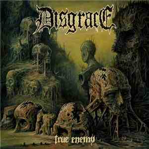 Disgrace  - True Enemy