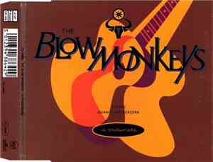 The Blow Monkeys Featuring Quan-T And Berzerk - La Passionara