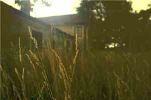 Bleak Fiction - House