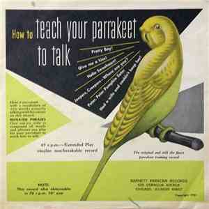 No Artist - How To Teach Your Parrakeet To Talk