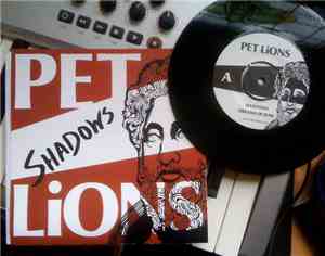 Pet Lions - Shadows