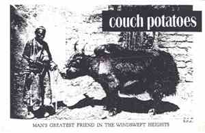 Couch Potatoes  - Man's Greatest Friend In The Windswept Heights