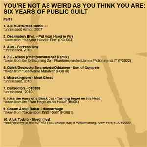 Various - You're Not As Weird As You Think You Are: Six Years Of Public Guilt