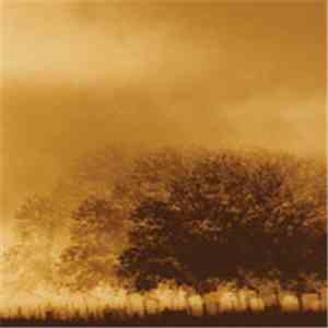 Infinite Light Ltd. - Infinite Light Ltd.