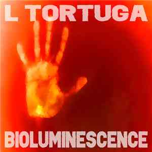 L Tortuga - Bioluminescence