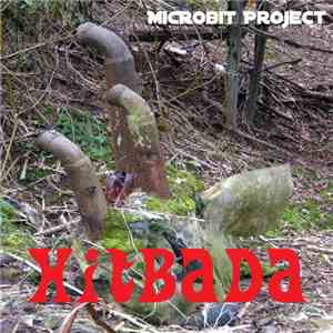 MicRobit Project - HitBada