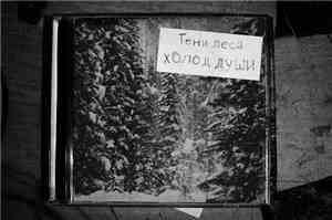 Тени леса - Холод души
