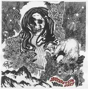 Destruction Unit - Void