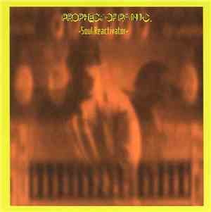 Prophecy Of P.A.N.I.C. - Soul:Reactivator