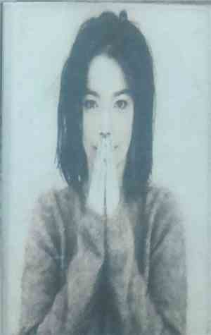 Björk - Debut
