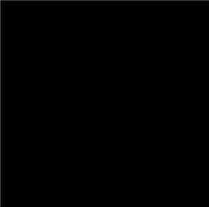 CNTHNW - Mass Incarceration Wall