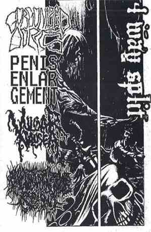 Gorgonized Dorks / Penis Enlargement / Vulgar Nausea / Sanguinary Nervous S ...