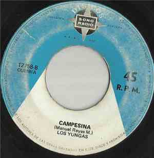 Los Yungas - Plaza De Acho / Campesina