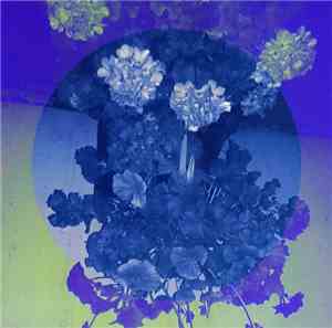 Luna Arakawa S. - O.I.Y. - 2008 Kamikakushi