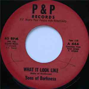 Sons Of Darkness - What It Look Like