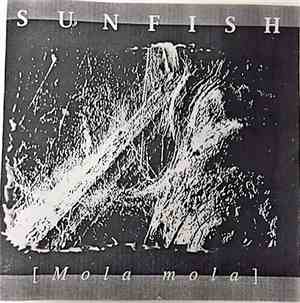 Sunfish  - [Mola mola]