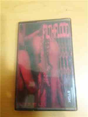 Filthflood - Filth Is My Life