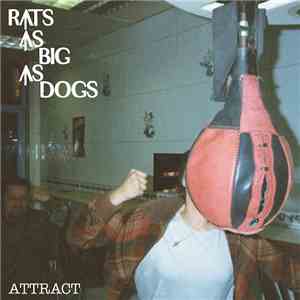 Rats As Big As Dogs - Attract