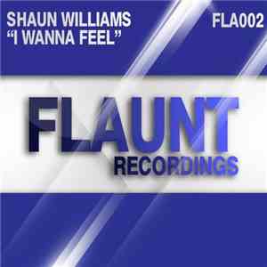 Shaun Williams  - I Wanna Feel