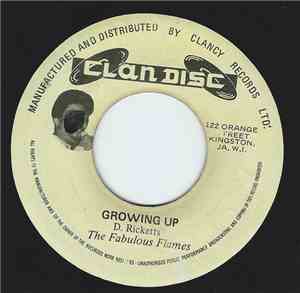 The Fabulous Flames - Growing Up / Lovitis