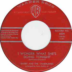 Barry And The Tamerlanes - I Wonder What She's Doing Tonight
