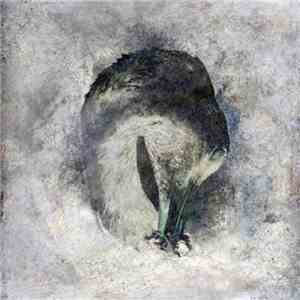 Suma  - Ashes