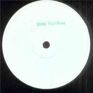 Chris Fortier - Under Your Nose