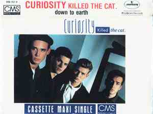 Curiosity Killed The Cat - Down To Earth