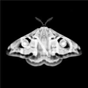 Martyn Hare - Emetic XXXVI