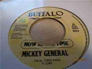 Mickey General - Now Is The Time