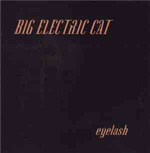Big Electric Cat - Eyelash