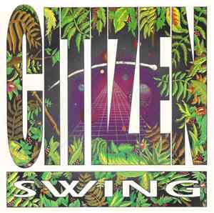 Citizen Swing - Cure Me With The Groove