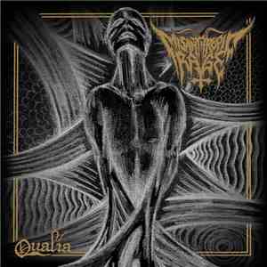 Misanthropic Rage - Qualia