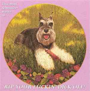 Schnauzer / Punching Moses - Rip Your Fuckin' Dick Off / Punching Moses