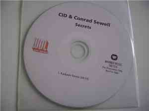 CID Ft. Conrad Sewell - Secrets (Kaskade Remix)
