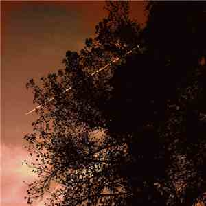 Coppice Halifax - Heavy Orbit