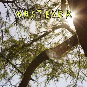 Whatever  - Lucky Number 13 And One Half