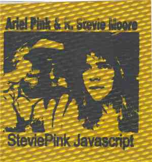 Ariel Pink & R. Stevie Moore - SteviePink Javascript