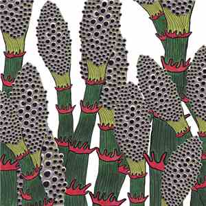 Part Chimp - IV