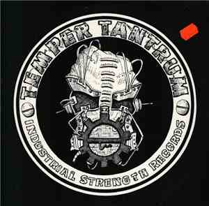 Temper Tantrum - Take Care, Comb Your Hair